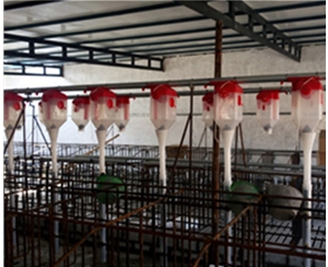 东莞养猪自动化料线